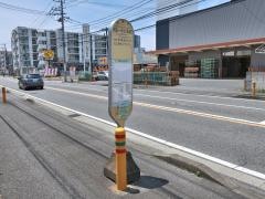 「岡田一本杉(新道)」バス停留所