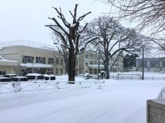 桔梗小学校