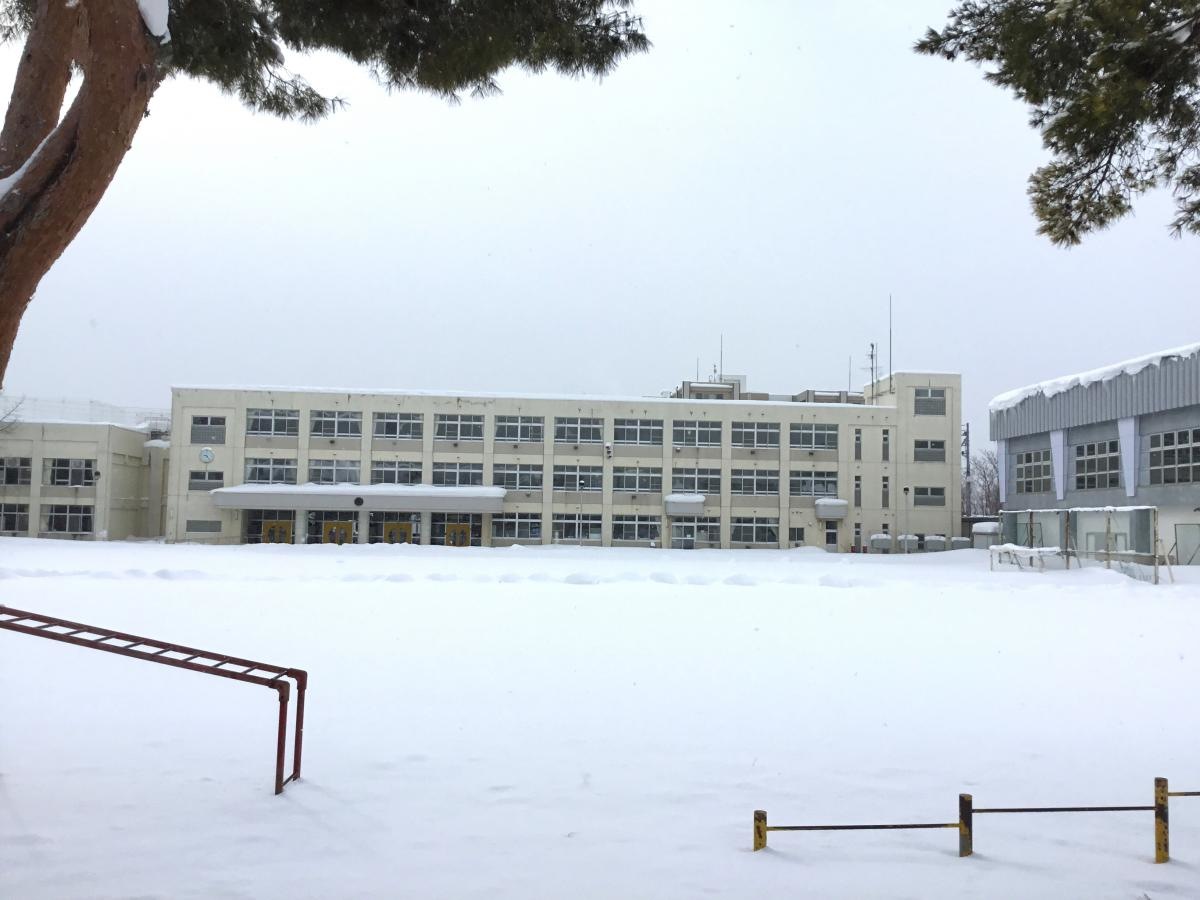 2018年2月20日