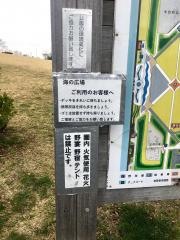 中央公園海広場