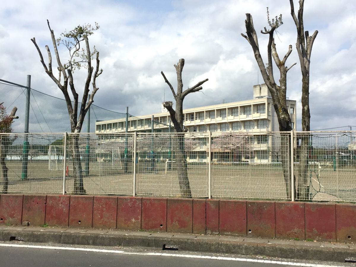校舎