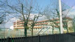 大類小学校