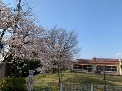 新保幼稚園