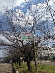 金岡公園