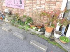 えぞや鮨