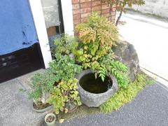えぞや鮨