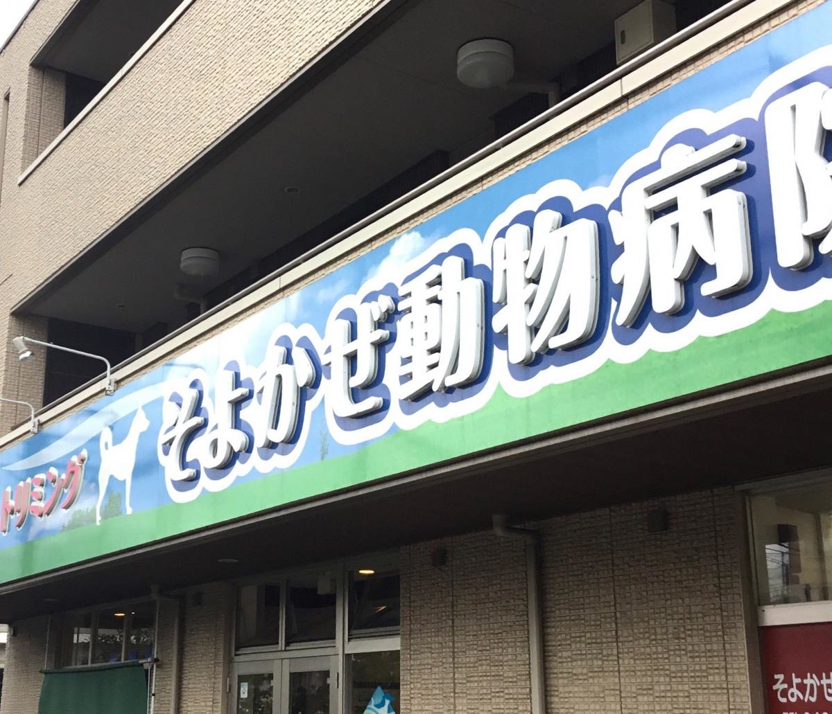 そよかぜ動物病院