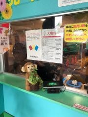 日光猿軍団