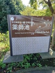 薬師池公園