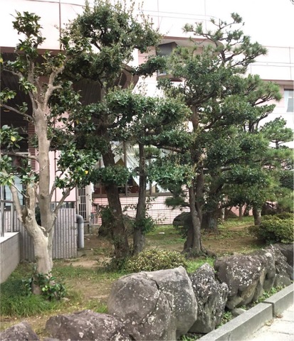 金沢南ケアハウス 風景