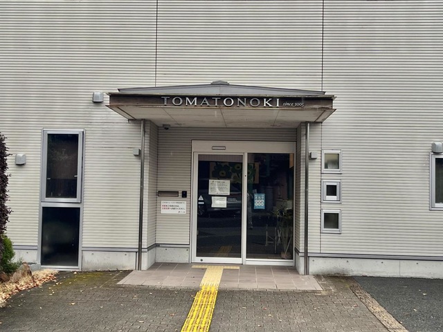 トマトの樹