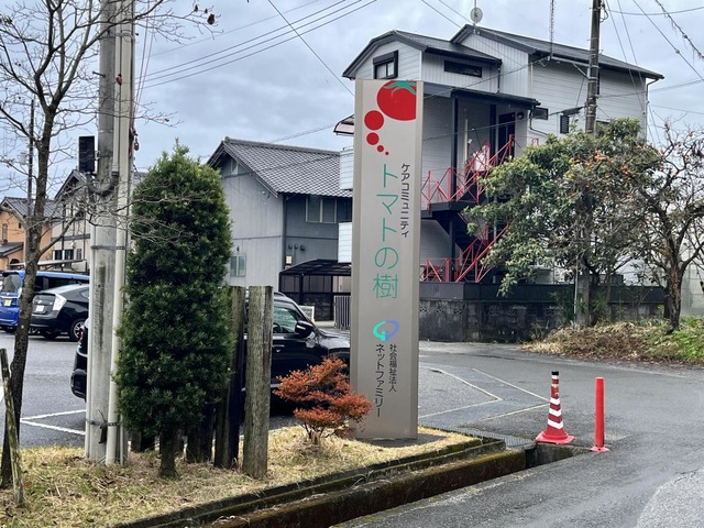 トマトの樹