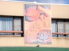 アロマ島薬局