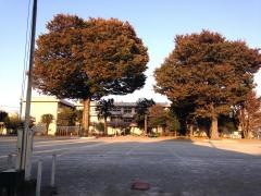 鴻巣東小学校
