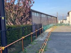 社会福祉法人慶泉会さくらい保育園