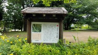 城山公園
