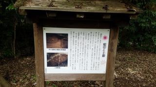 城山公園