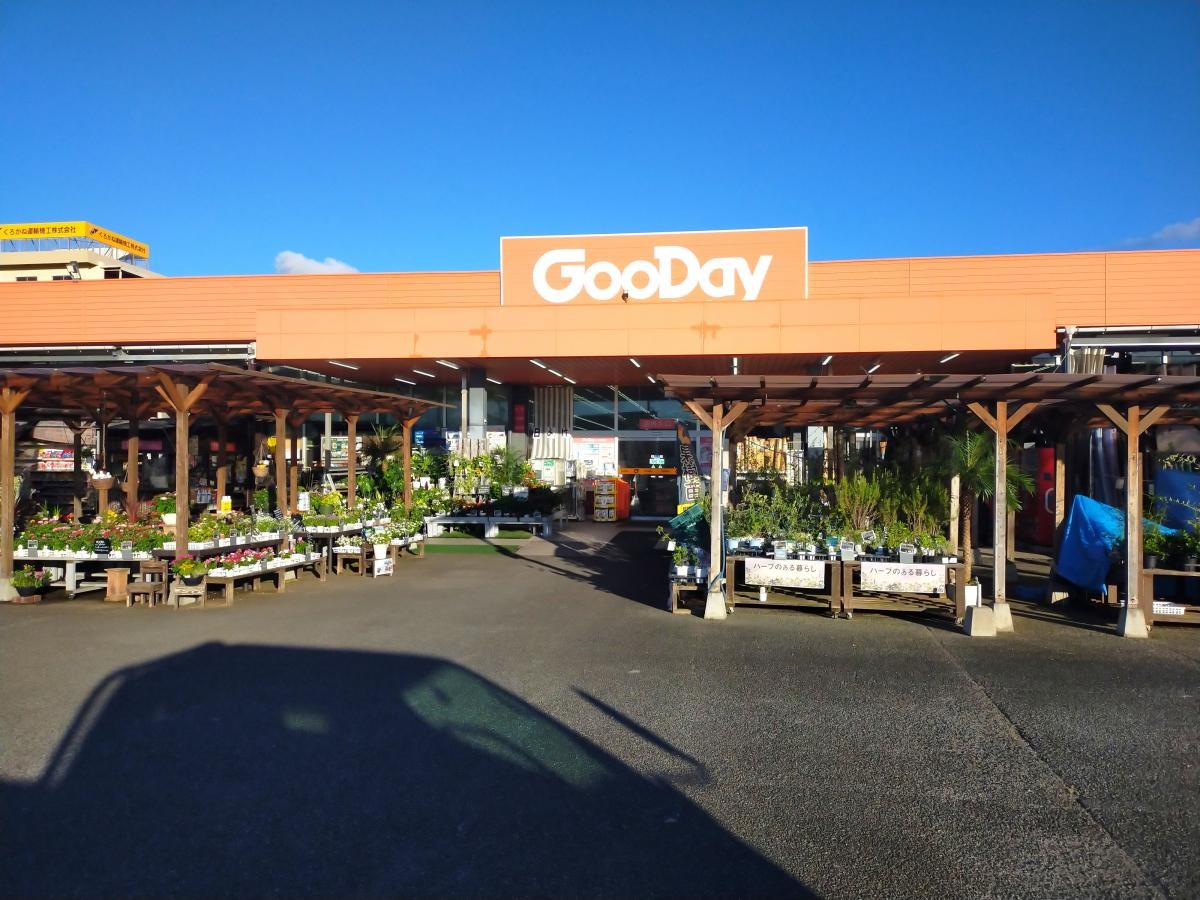 グッデイ八幡西店の入口です。