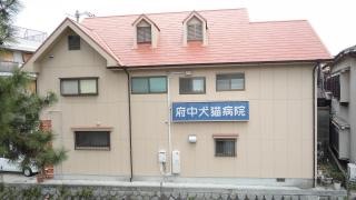 府中犬猫病院