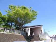 日本ルーテル告白教会