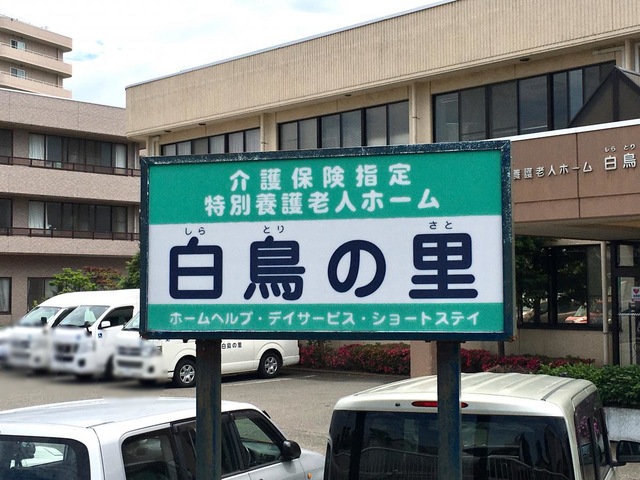 白鳥の里