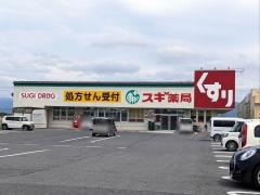 スギ薬局　稲枝店