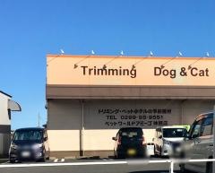 アミーゴ　神栖店