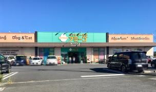 アミーゴ　神栖店