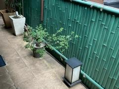 いとう