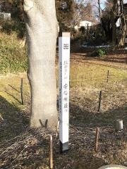 安倍館遺跡