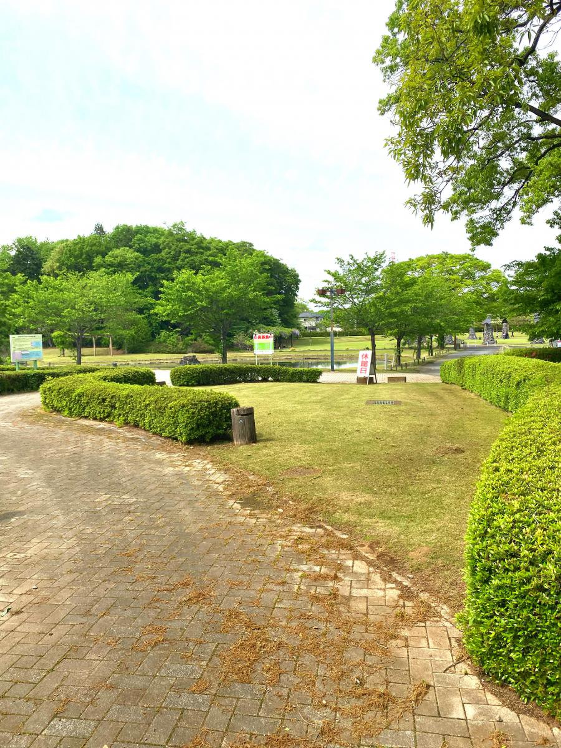 八千代 町民 公園