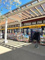 マツモトキヨシ　ステラタウン店