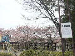 玉敷公園