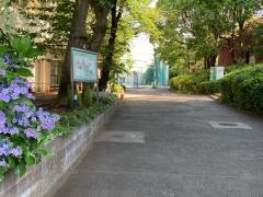 私立橘学苑中学校