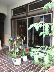 甚光荘