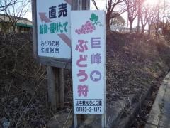山本観光ぶどう園