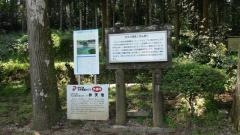 別府弁天まつり