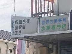 カープペットショップ