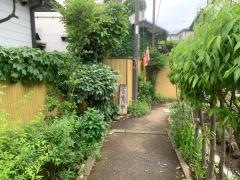 彩の実