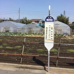 「大泉学園小学校入口」バス停留所
