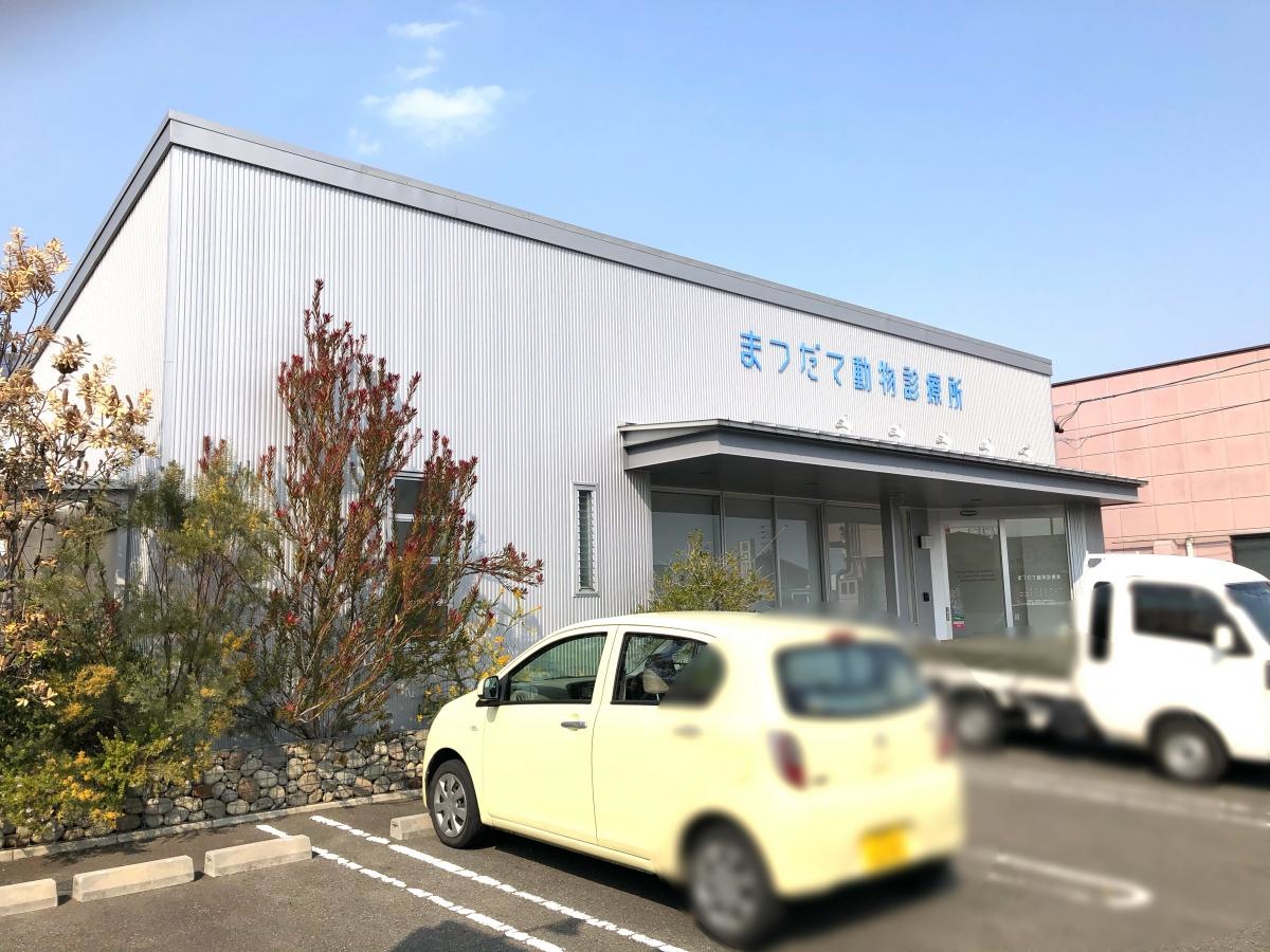 まつだて動物診療所