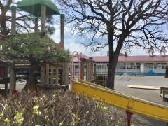 柿の木幼稚園