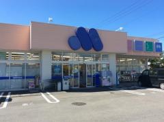 マルエドラッグ上里店