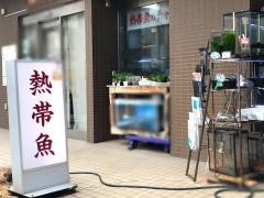 熱帯魚チャイ