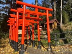 西坂ねこ稲荷神社