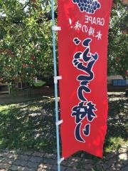 中条フルーツ農場