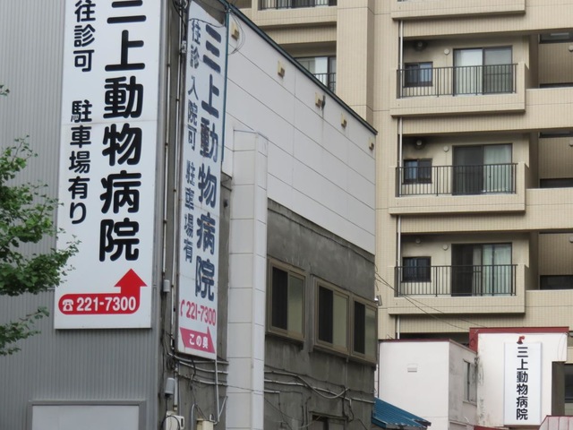 投稿写真1