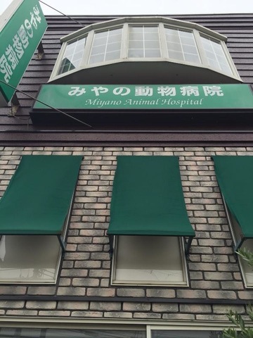 投稿写真5