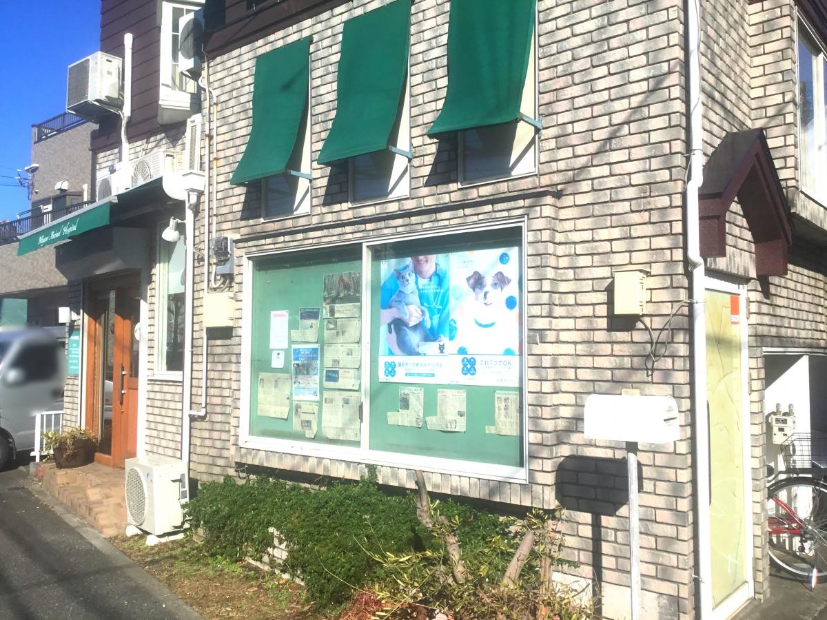 みやの動物病院