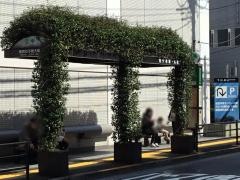 「東京女子医大前」バス停留所